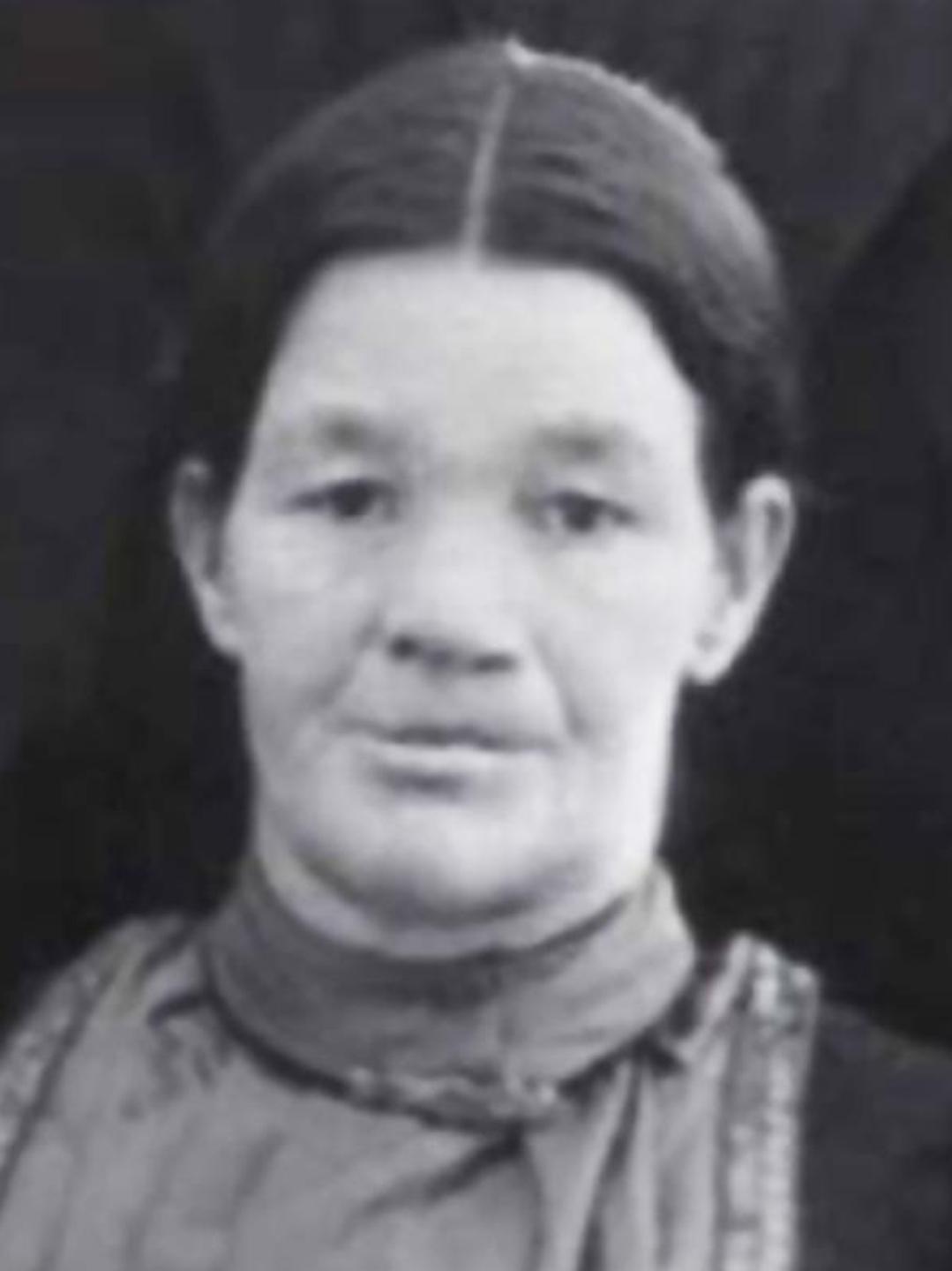 Mary Ann Godfrey (1851 - 1911) Profile